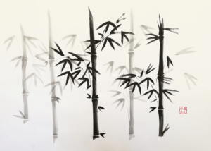 Polly Design - 22 min