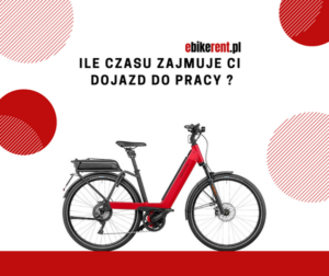 Polly Design - 284299606 376131567893387 2621243319339223684 n