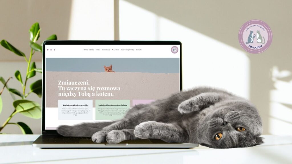 Projekt bez nazwy (21) Polly Design - Projekt bez nazwy 21